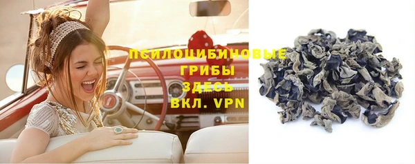 ПСИЛОЦИБИНОВЫЕ ГРИБЫ Арсеньев
