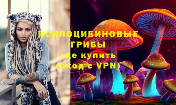 амф Аркадак