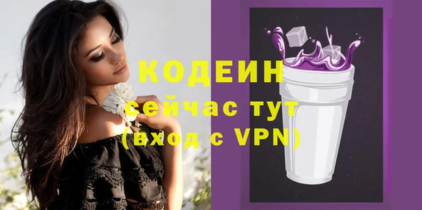 шишки Слюдянка