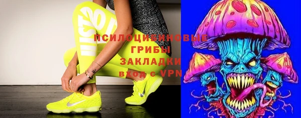 ПСИЛОЦИБИНОВЫЕ ГРИБЫ Арсеньев