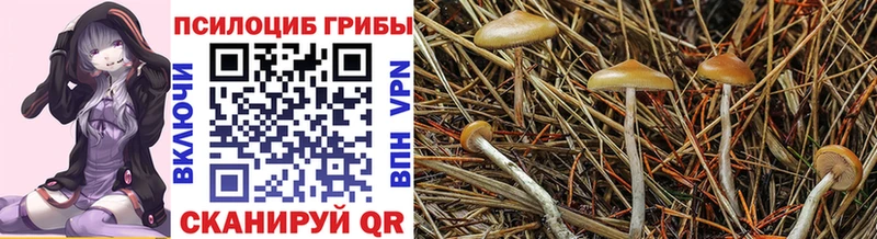 Псилоцибиновые грибы Magic Shrooms  Белорецк 