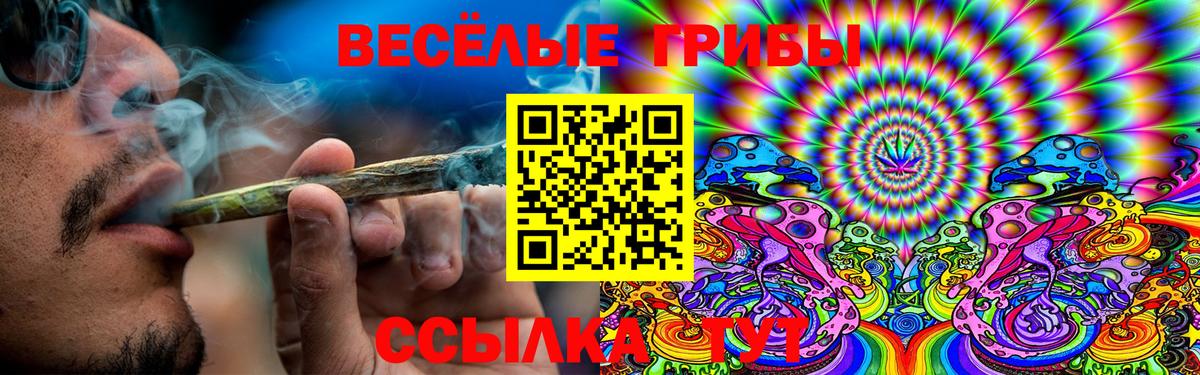 Псилоцибиновые грибы мицелий Белорецк