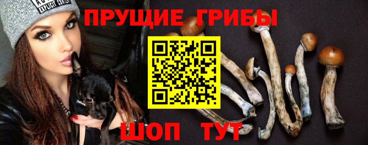 магазин  наркотиков  Галлюциногенные грибы мухоморы  Вход с VPN  Белорецк 